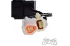 CDI FOR ATV BASHAN BS250S-5