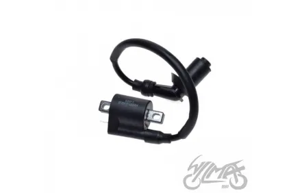 IGNITION COIL FOR ATV BASHAN BS250S-5