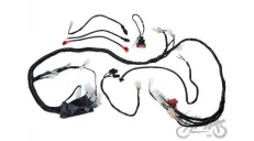WIRE HARNESS FOR ATV BASHAN BS250S-5