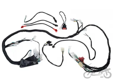 WIRE HARNESS FOR ATV BASHAN BS250S-5