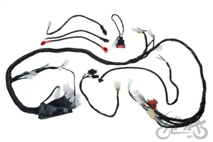 WIRE HARNESS FOR ATV BASHAN BS250S-5