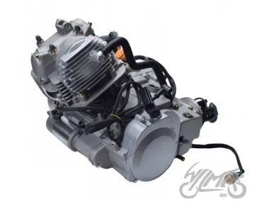 ENGINE ASSEMBLY FOR ATV BASHAN BS250S-5