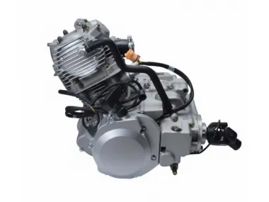 ENGINE ASSEMBLY FOR ATV BASHAN BS250S-5