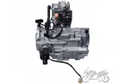 ENGINE ASSEMBLY FOR ATV BASHAN BS250S-5