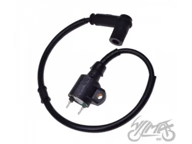 IGNITION COIL CPI GTX 50