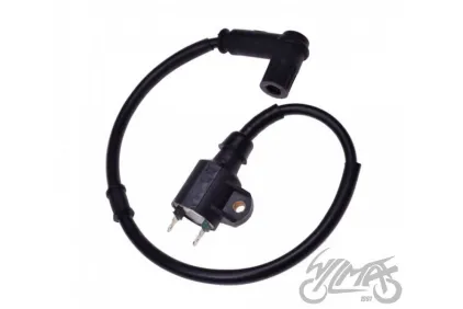 IGNITION COIL CPI GTX 50