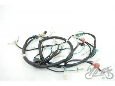 WIRING HARNESS CPI GTX 50