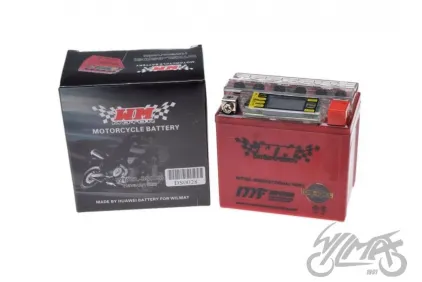 BATTERY YTX5L-BS ( iGEL ) WM MOTOR 12 V
