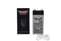AKUMULIATORIUS 4V 5.5Ah WM MOTOR