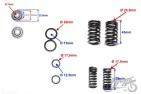 SPRING ASSY, VALVE