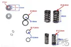 SPRING ASSY, VALVE