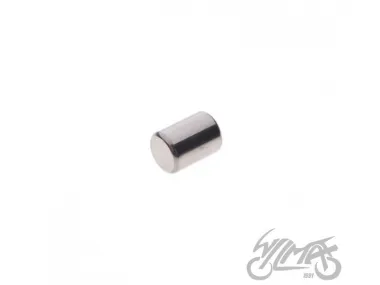 MAGNETO KAIŠTIS HONDA 53666SA5671