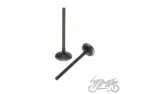 INTAKE AND EXHAUST VALVE SET FOR HONDA SH125