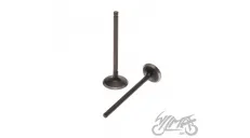 INTAKE AND EXHAUST VALVE SET FOR HONDA SH125