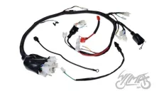 WIRE HARNESS ASSY FOR JUNAK 901