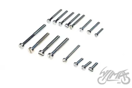 BOLT, CRANKCASE COVER J50