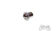 THERMOSTAT, WATER AM6 50CCM