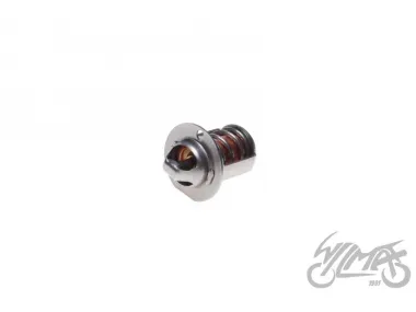 THERMOSTAT, WATER AM6 50CCM