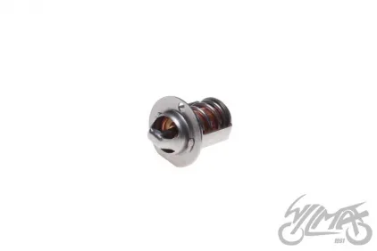 THERMOSTAT, WATER AM6 50CCM