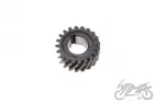 GEAR, CRANKSHAFT PRIMARY DRIVE AM6