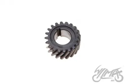 GEAR, CRANKSHAFT PRIMARY DRIVE AM6