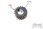 GEAR, CRANKSHAFT PRIMARY DRIVE AM6