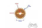 GEAR, OIL PUMP DRIVE NT:22 AM6