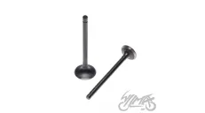 VALVE SET, INTAKE + EXHAUST FOR KINGWAY CHOPPER 350
