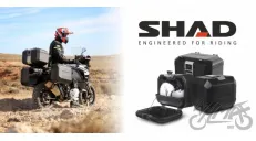 BANNER SHAD TERRA BLACK 2023