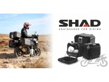 BANNER SHAD TERRA BLACK 2023
