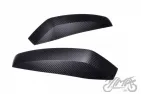 COVER, TOP CASE SHAD SH36 Carbon