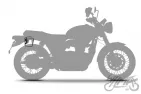 ŠONINIS KREPŠYS SHAD CAFE RACER