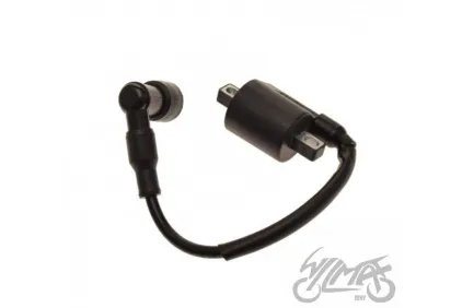 COIL ASSY IGNITION FOR Trigger X/ CMPT X