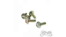 SPROKET BOLT (5PCS/SET) FOR Trigger X/ CMPT X