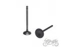 INTAKE AND EXHAUST VALVE SET ENGINE LF120