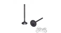 INTAKE AND EXHAUST VALVE SET ENGINE LF120