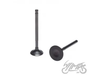 INTAKE AND EXHAUST VALVE SET ENGINE LF120