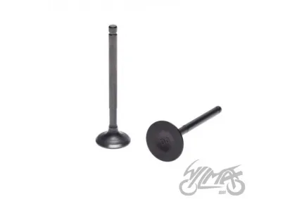 INTAKE AND EXHAUST VALVE SET ENGINE LF120