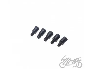 MIRROR BOLT KIT