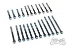 BOLT SET, ENGINE MZ250