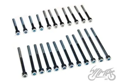 BOLT SET, ENGINE MZ250