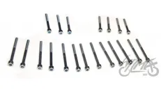 BOLT SET, ENGINE MZ150