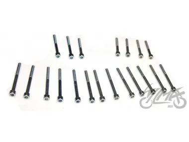 BOLT SET, ENGINE MZ150