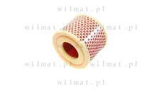AIR FILTER ELEMENT TS 250