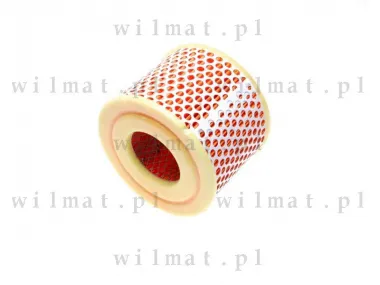 AIR FILTER ELEMENT TS 250