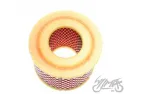 AIR FILTER ELEMENT TS 250