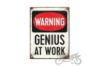 MAGNET GENIUS AT WORK 14352