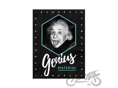 MAGNETAS EINSTEIN GENIUS MATERIAL14395