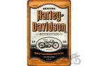METALINĖ LENTELĖ 20x30 HARLEY-DAVIDSON 22419
