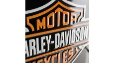 METALINIS ŽENKLAS 30X40 tinka Harley-Davidson motociklams 23130